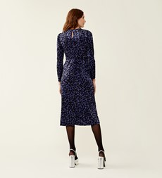 Abel Blue Leopard Velvet Dress